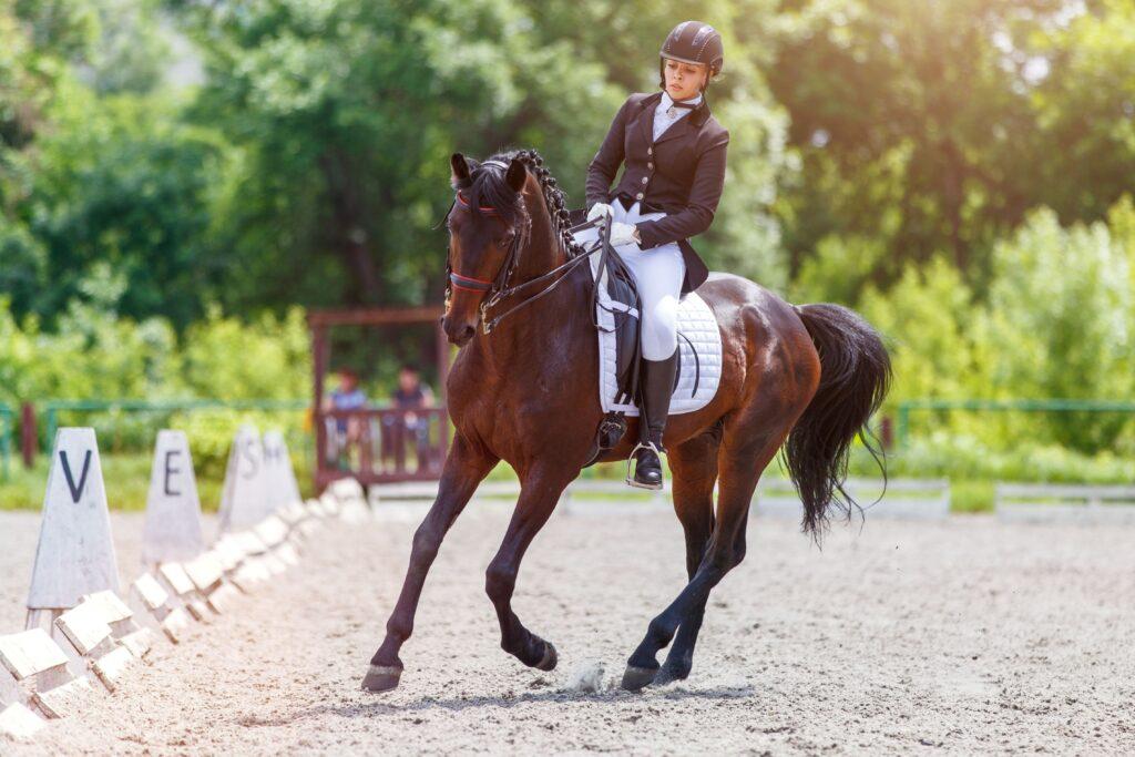 Dressage rider performing lateral movement in arena